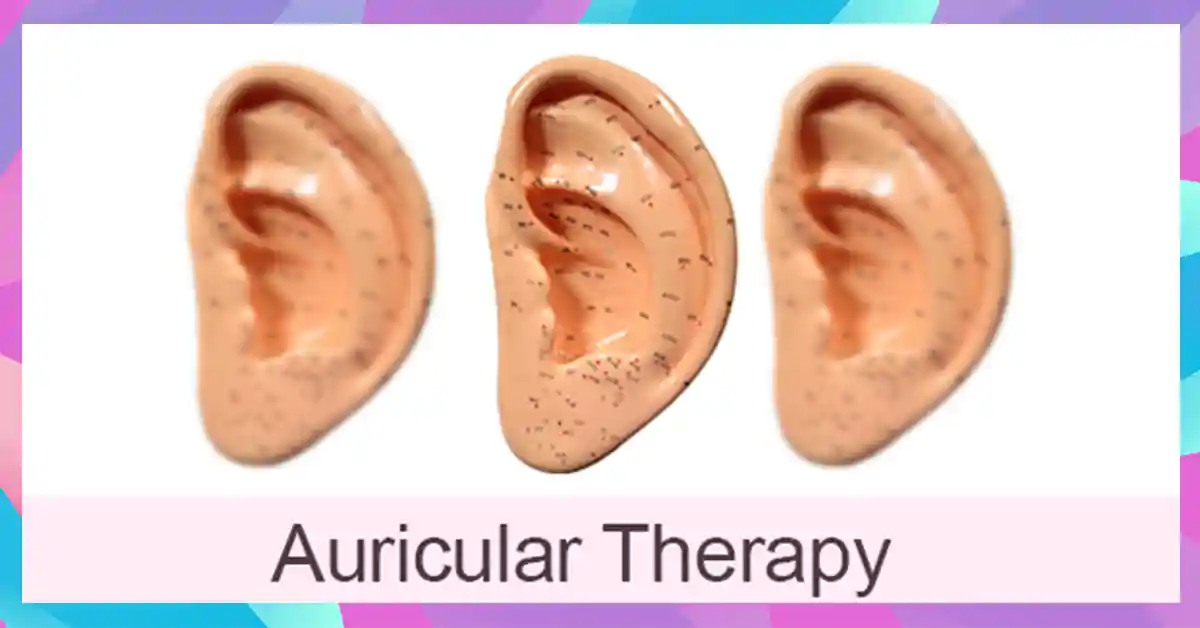 Auricular Course